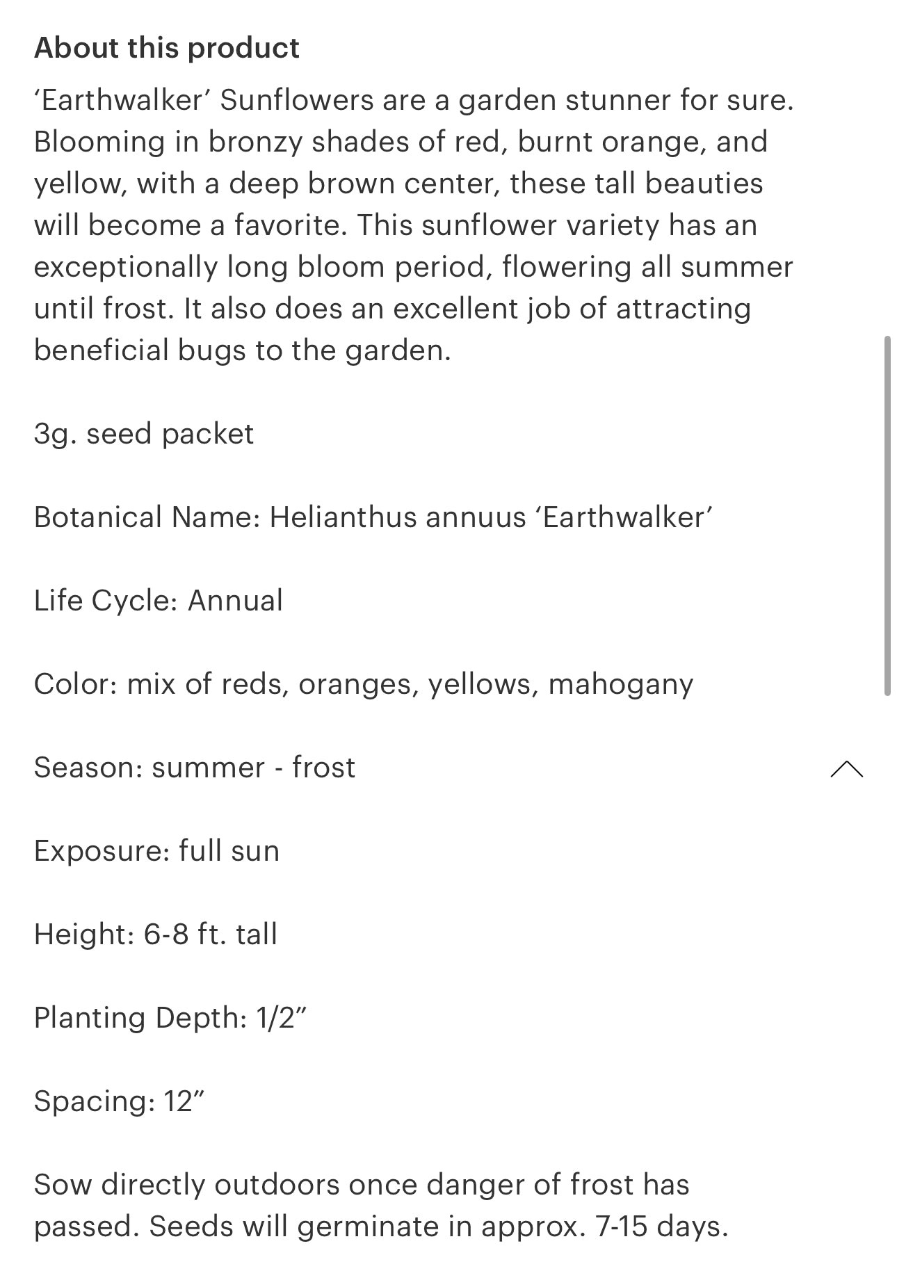 Sunflower Seeds “Earth Walker”