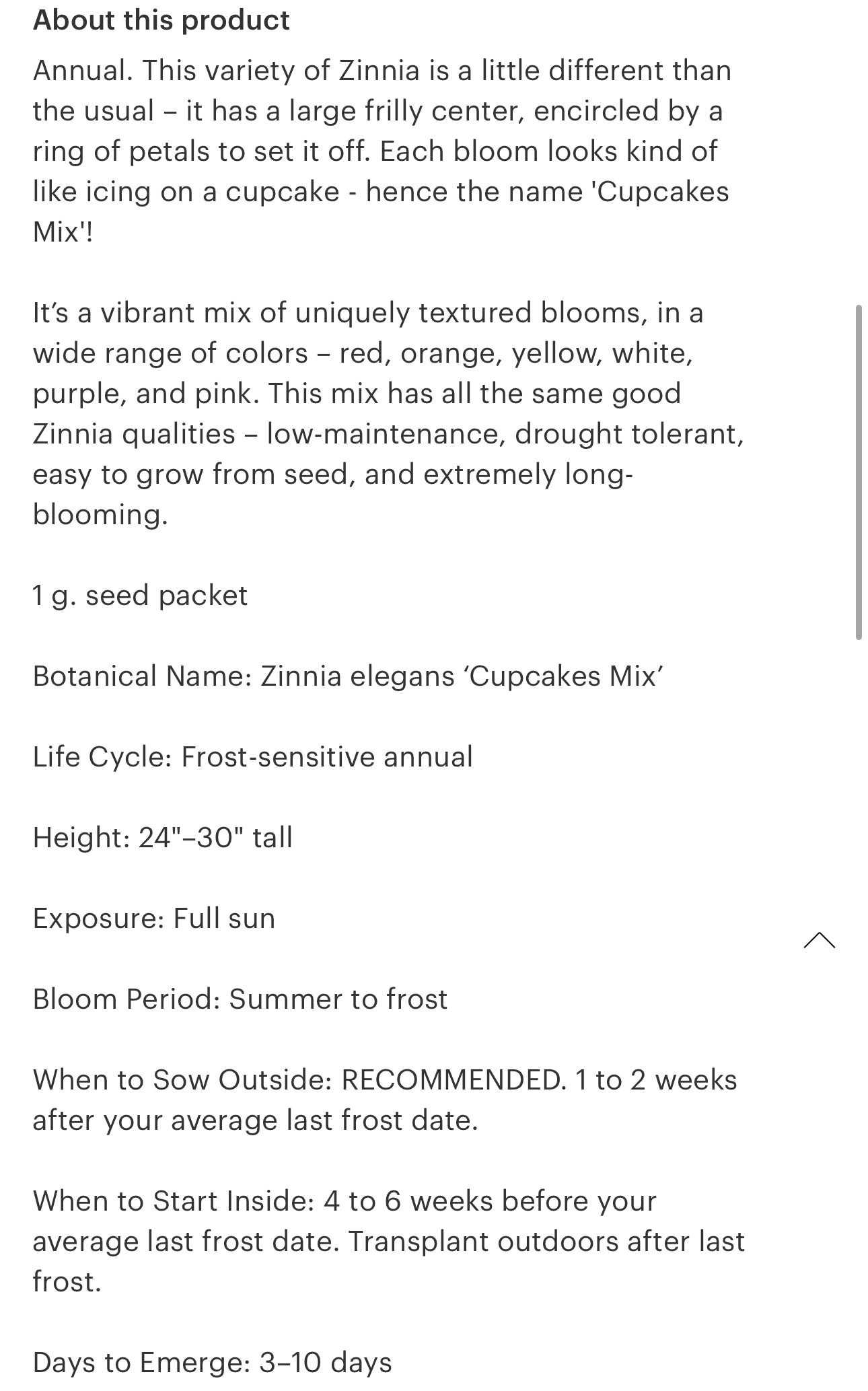 Zinnia Seeds “Cupcake Mix”