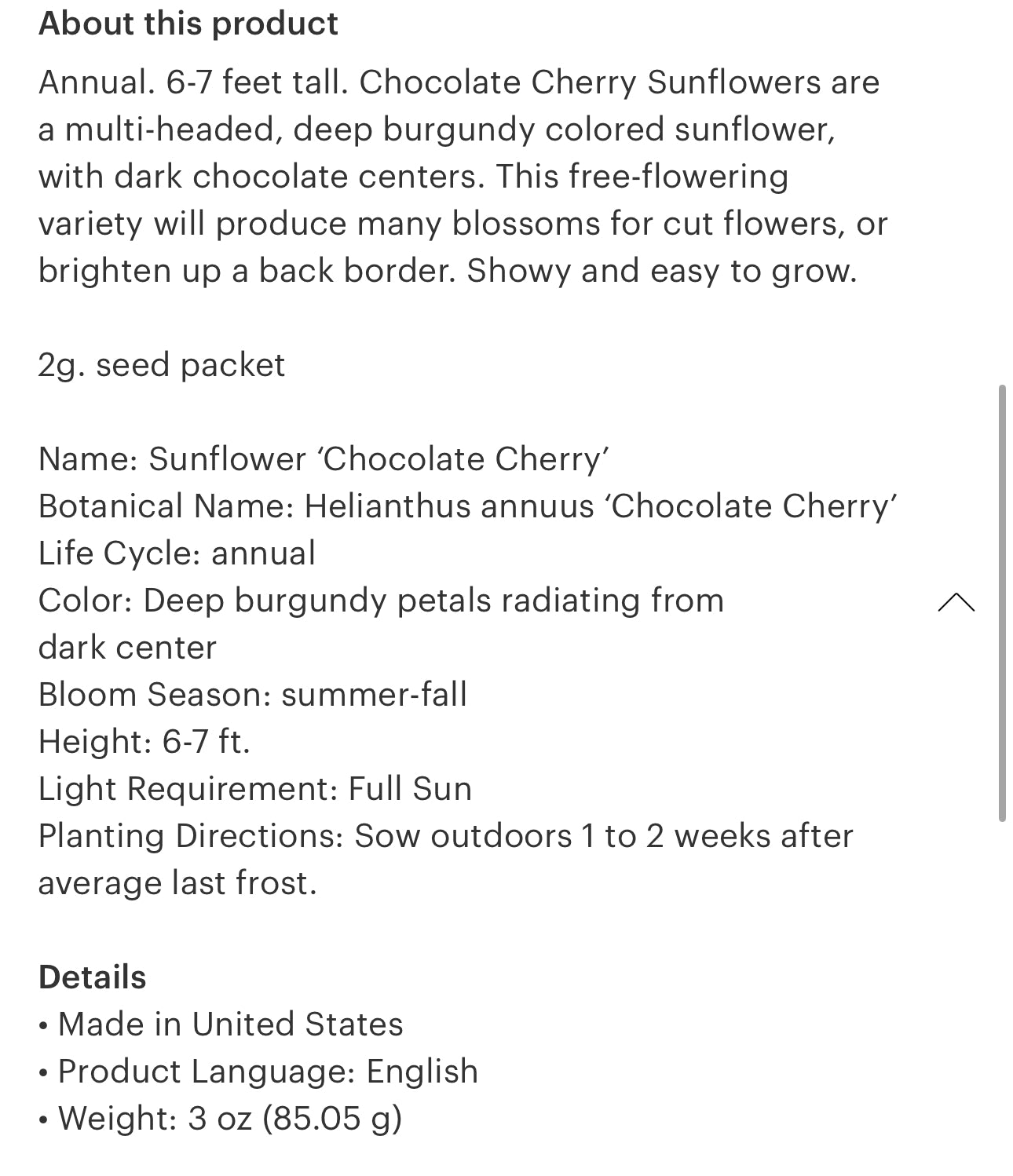 Sunflower Seeds “Chocolate Cherry”