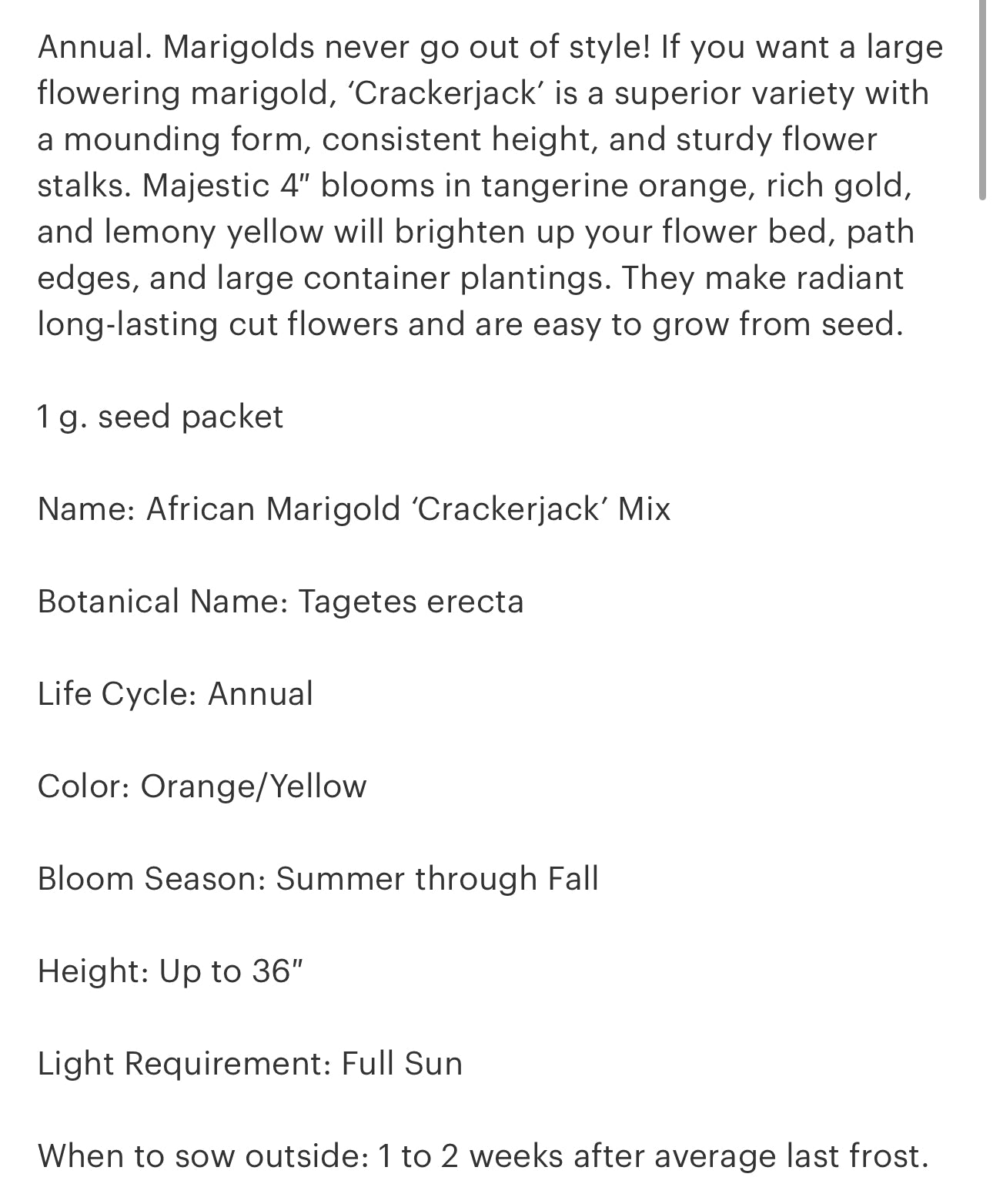 Crackerjack Marigolds