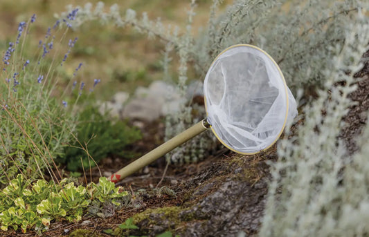 Butterfly Net