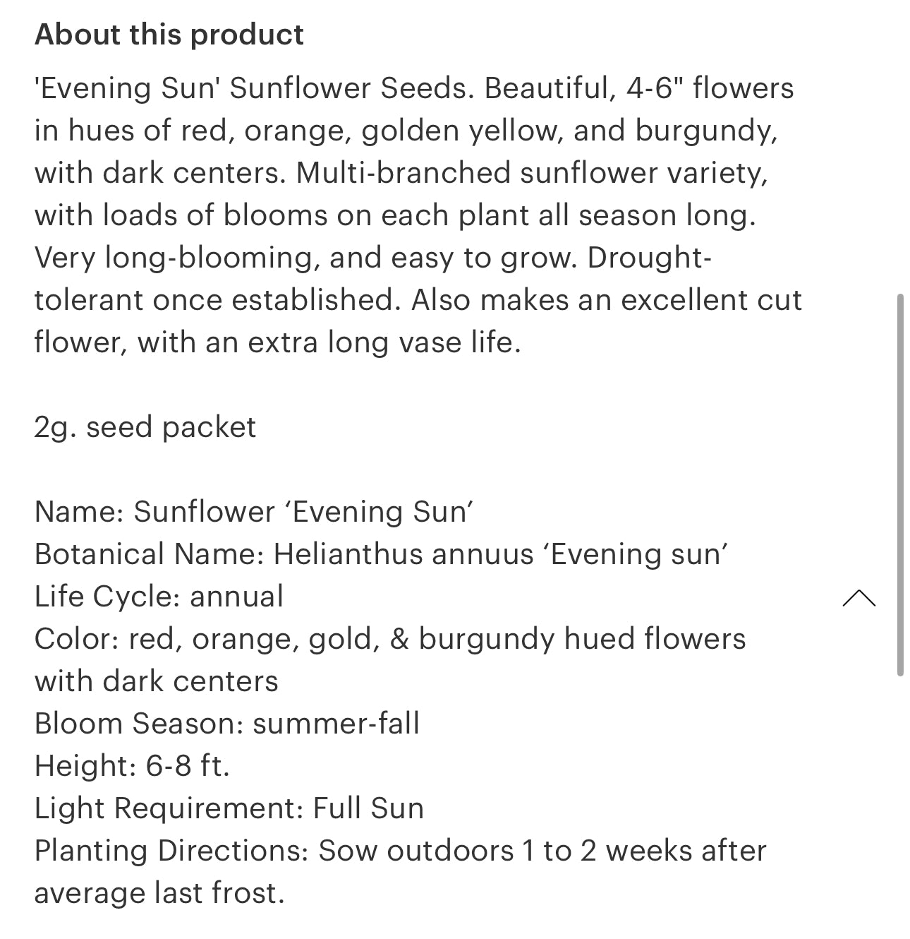 Sunflower Seeds “Evening Sun”