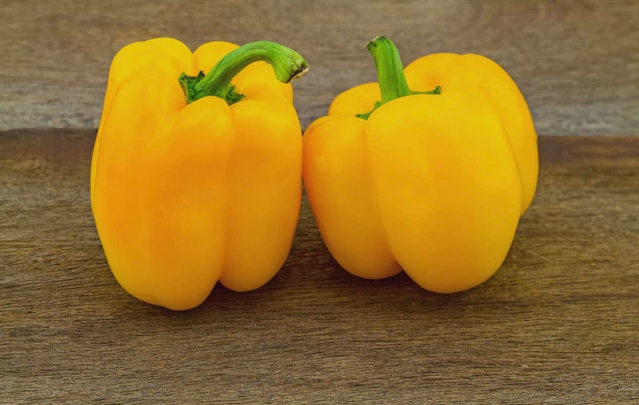 Pepper Cali-Wonder Plant