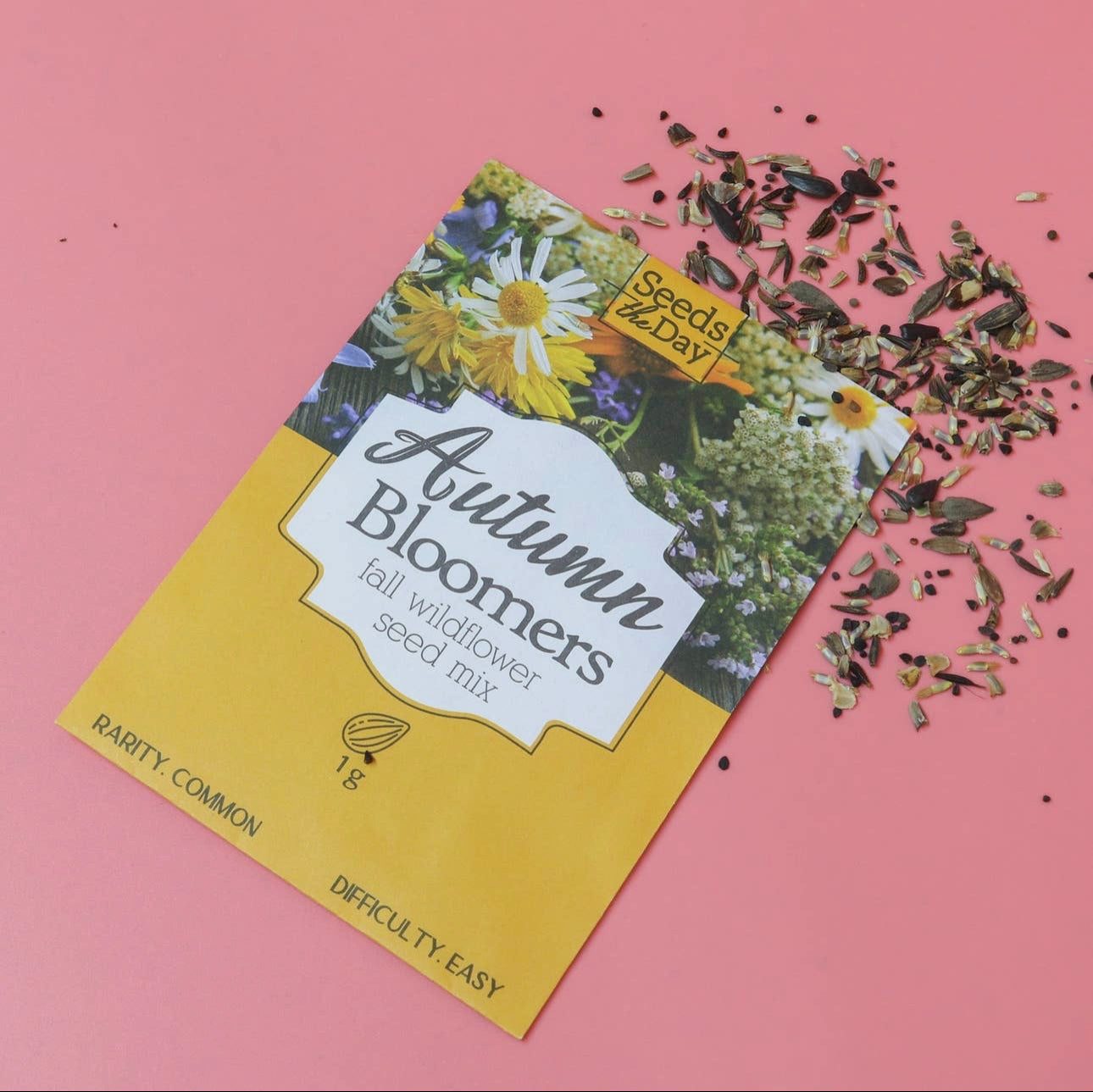 Autumn Blooms Seeds
