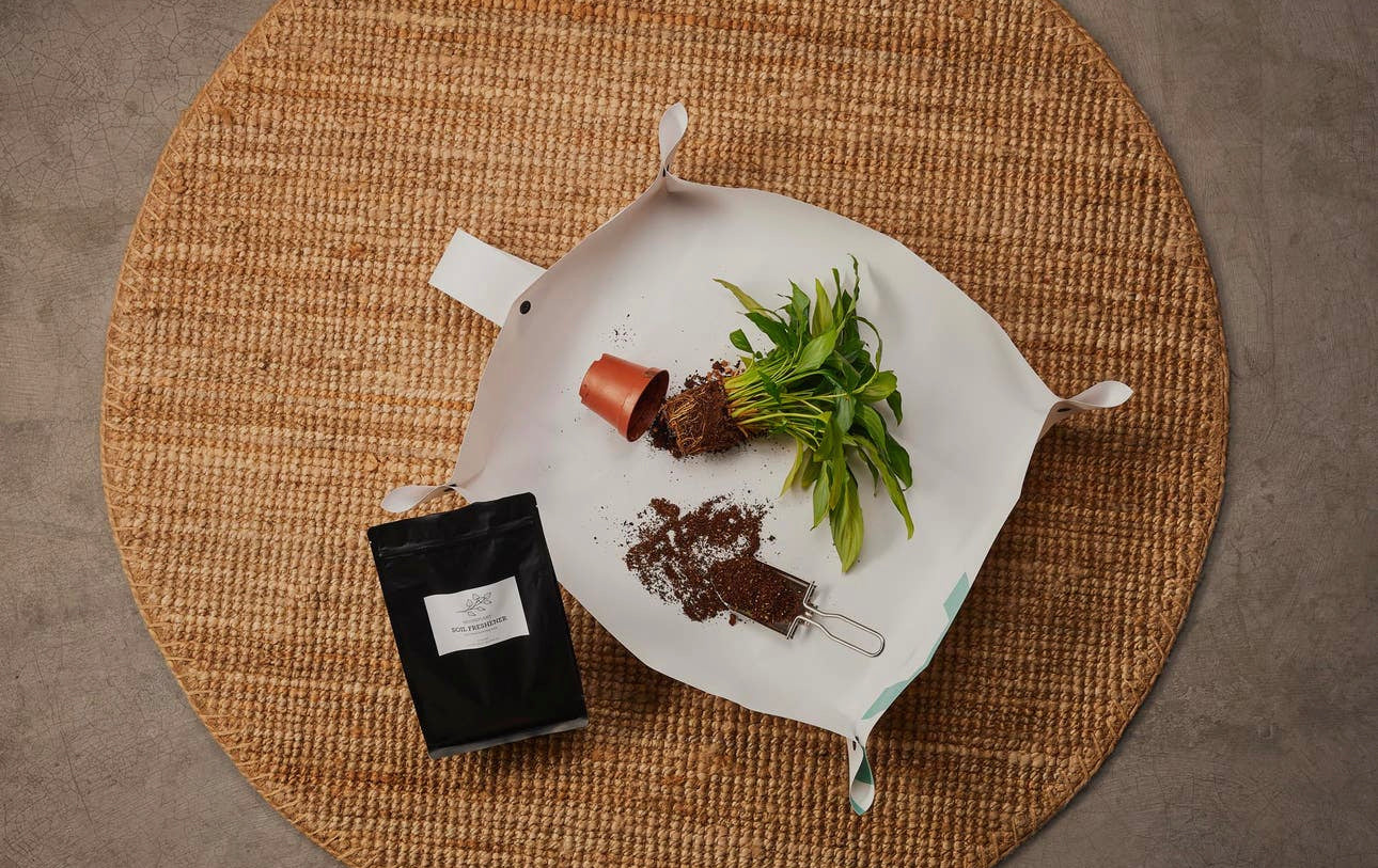 House Plant Soil Freshener
