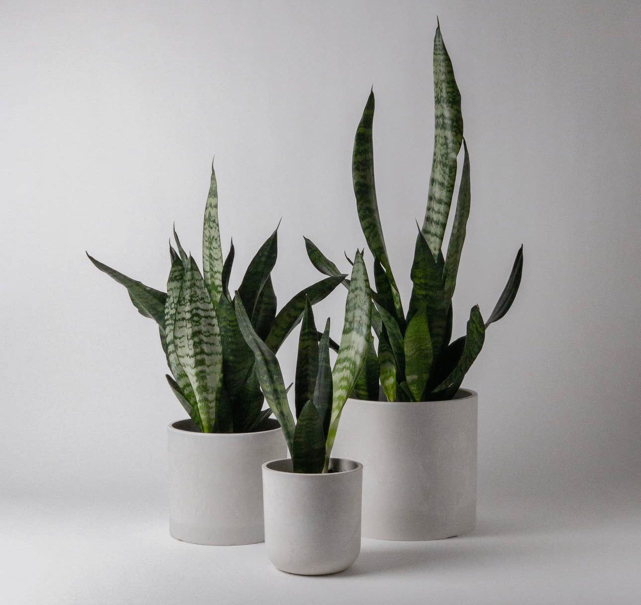 Signature Faux Stone 9in Planter