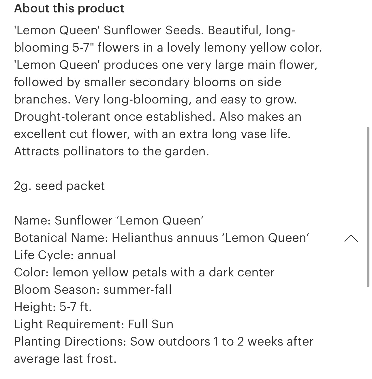 Sunflower Seeds “Lemon Queen”
