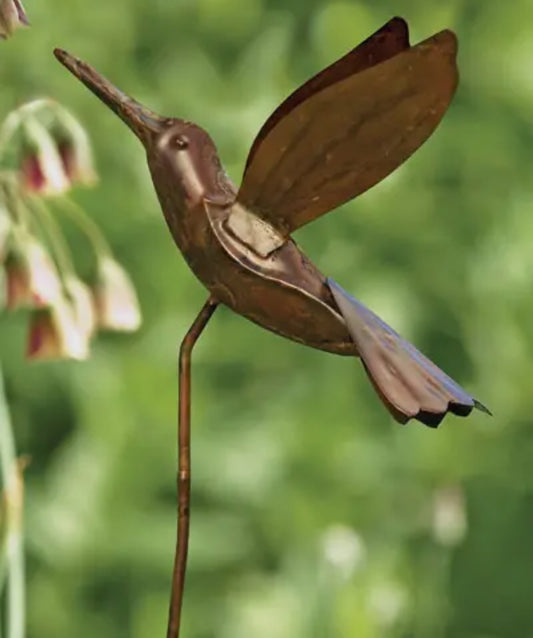 Hummingbird Outdoor Decor