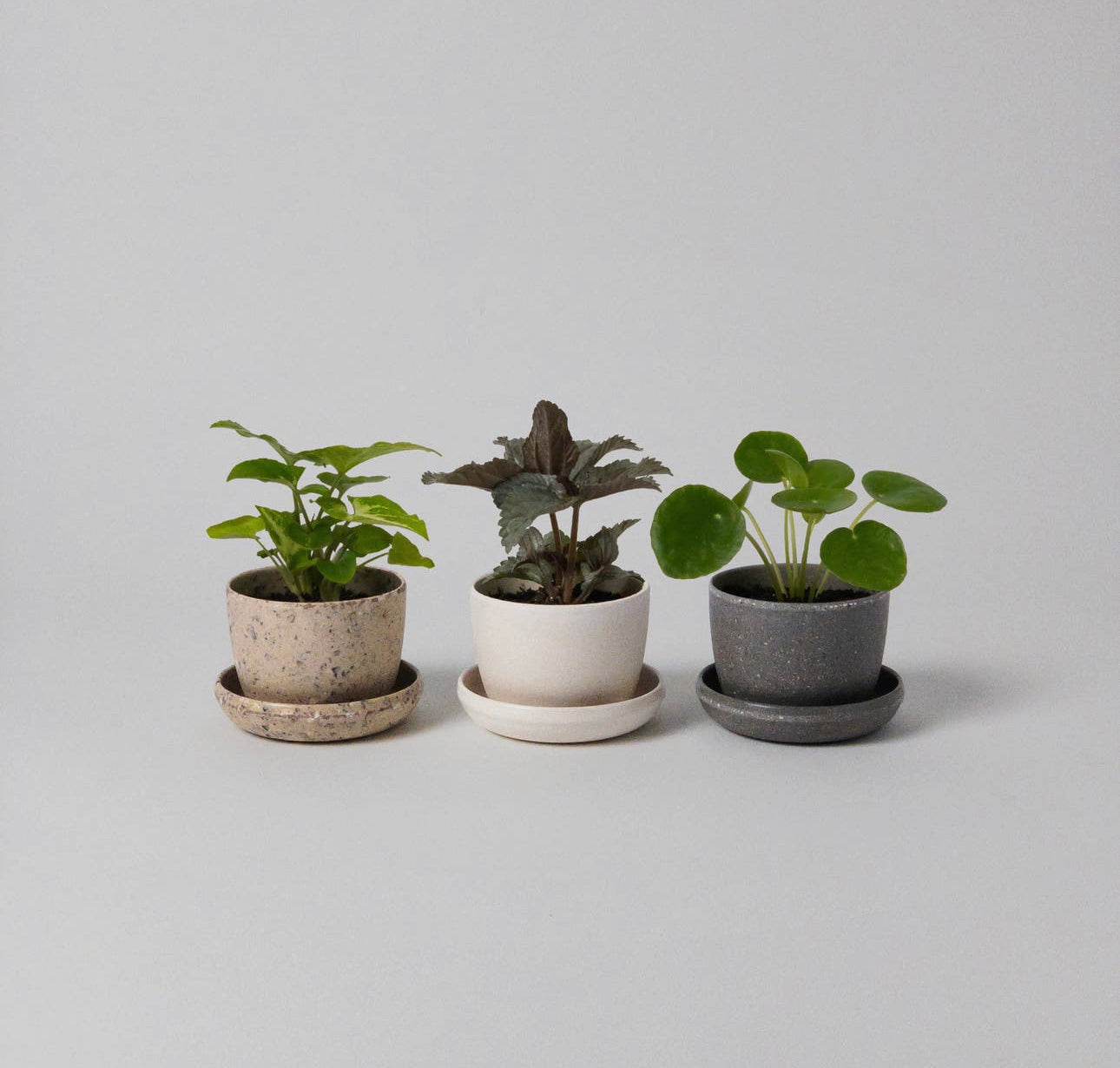 Bamboo Fibre Mini Planter