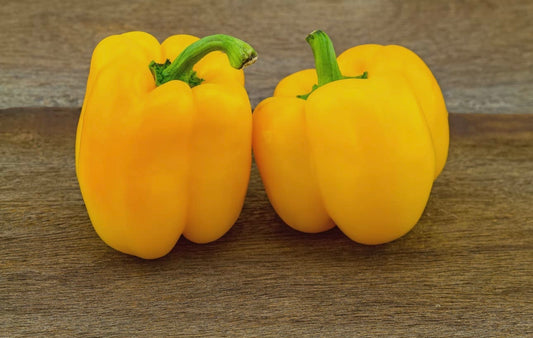 Pepper Cali-Wonder Plant