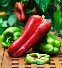Big Bertha Pepper Plant