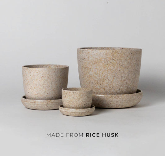 Rice Husk Planter 5in