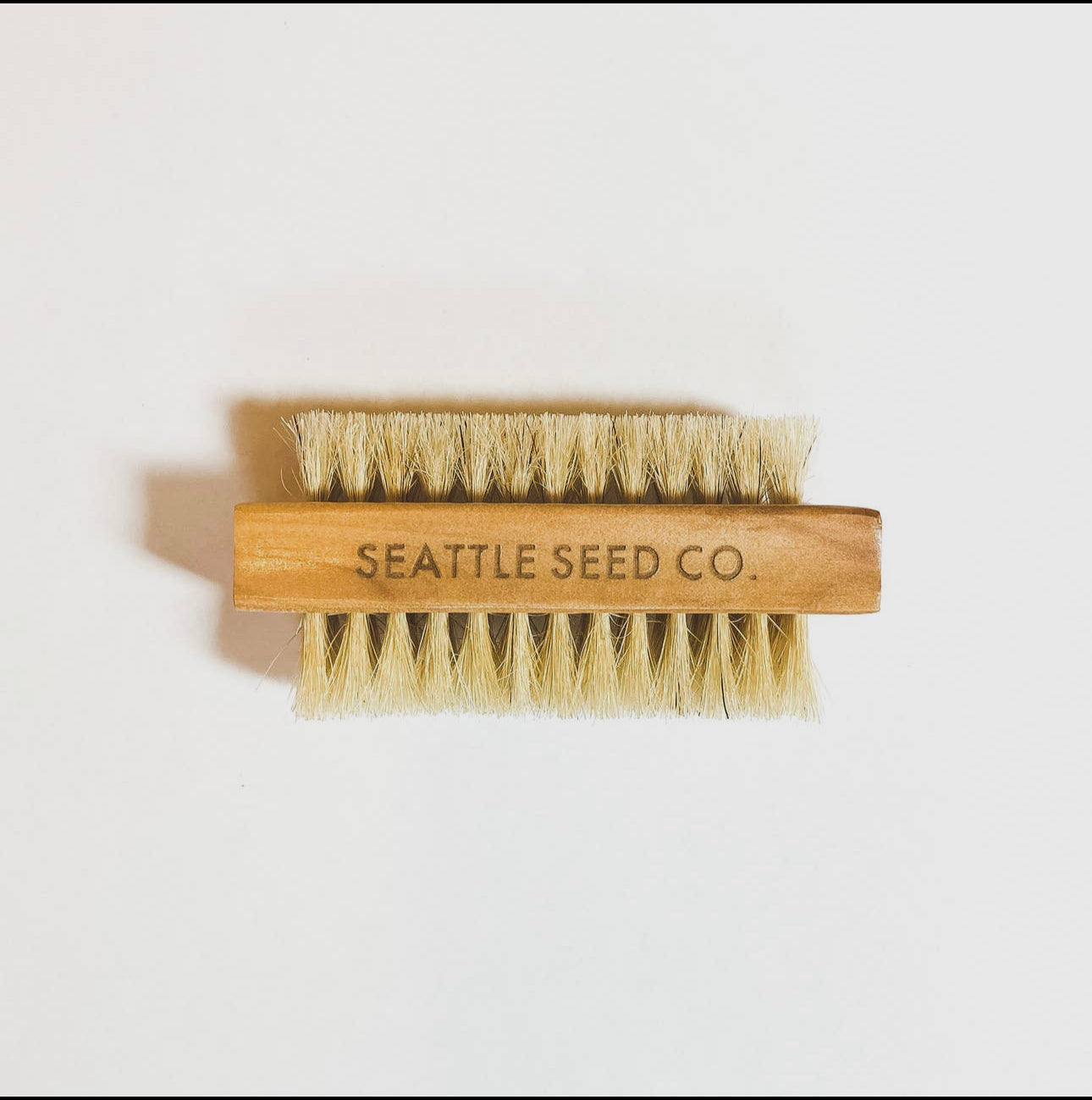 Vegetable/Nail Brush